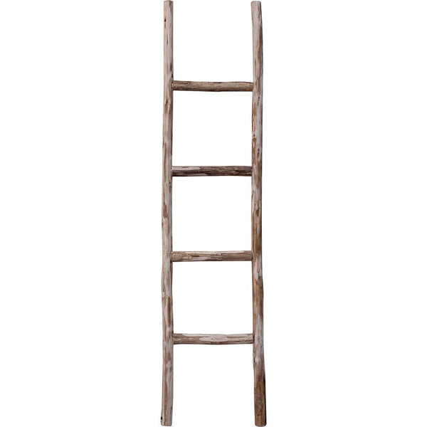 Carlson wooden ladder